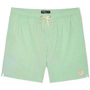 O'Neill Solid Volley Boardshorts, 17