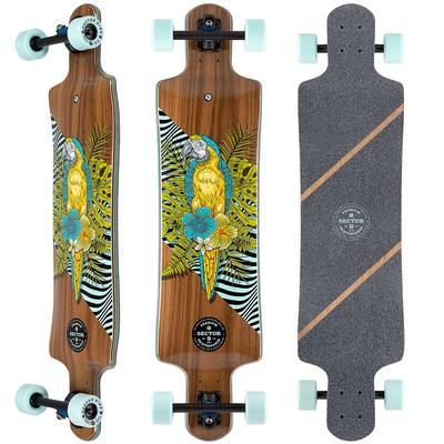 Sector 9 Fault Line Perch Complete Cruiser Longboard Skateboard, 39.5