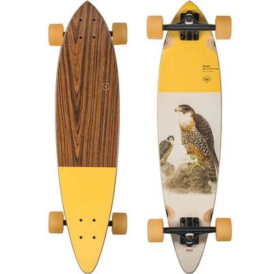 Globe Pintail 34 Falcon Complete Longboard Skateboard, 34