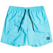 Quiksilver Everyday Volley Boardshorts,17