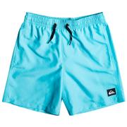 Quiksilver Everyday Volleys, 15