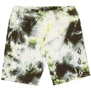 Volcom Iconic Stone Plus Fleece Shorts