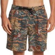 Quiksilver Ocean Mix Volleys Boardshorts, 17