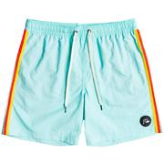 Quiksilver Ocean Beach Please Volley Boardshorts, 17