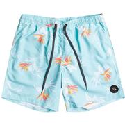 Quiksilver Everyday Mix Volley Shorts, 17