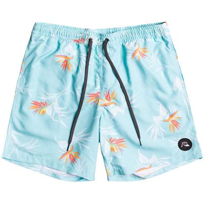 Quiksilver Everyday Mix Volley Shorts, 17
