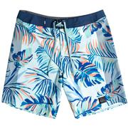 Quiksilver Highlite Arch Boardshorts, 19