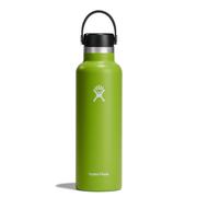 Hydro Flask 21 oz. Standard Mouth Insulated Water Bottle, Seagrass