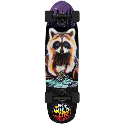Omen Tico Raccoon Complete Cruiser Skateboard, 33