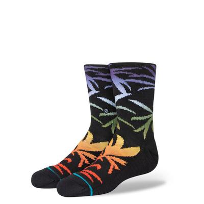 Stance Palmer Kids Crew Socks