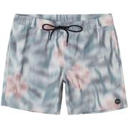 RVCA Perry Volley Boardshorts, 17