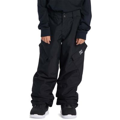 DC Banshee Boys Technical Snow Pants