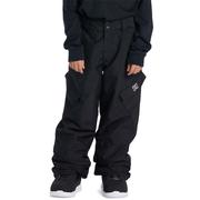 DC Banshee Boys Technical Snow Pants