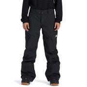 DC Nonchalant Women's Technical Snow Pants