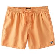 Billabong All Day Boys Elastic Waist Volley Shorts