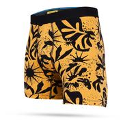 Stance Sun Dust Cotton Boxer Briefs BBRN