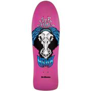 Birdhouse Tony Hawk Vulture Skateboard Deck, 10.25